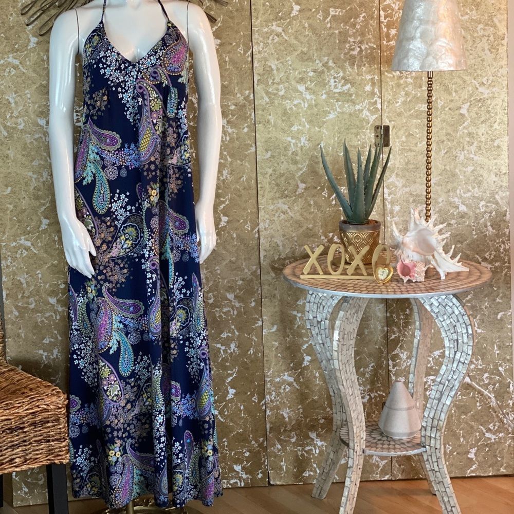 Alyn Paige Maxi Halter Dress